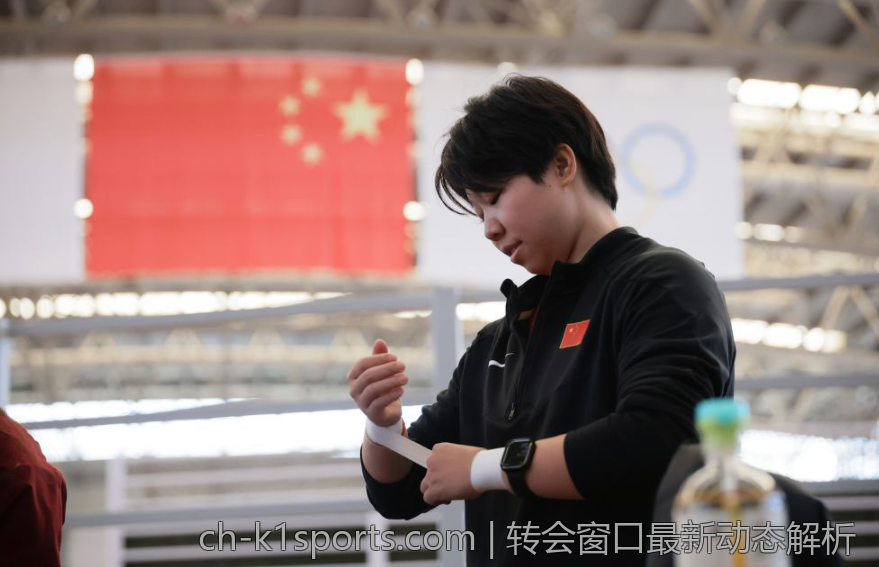 转会窗口最新动态解析