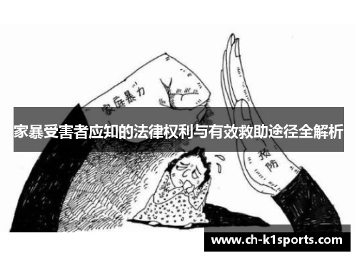 家暴受害者应知的法律权利与有效救助途径全解析