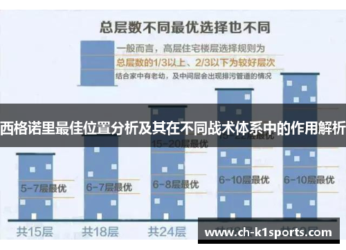 西格诺里最佳位置分析及其在不同战术体系中的作用解析