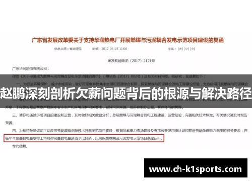 赵鹏深刻剖析欠薪问题背后的根源与解决路径