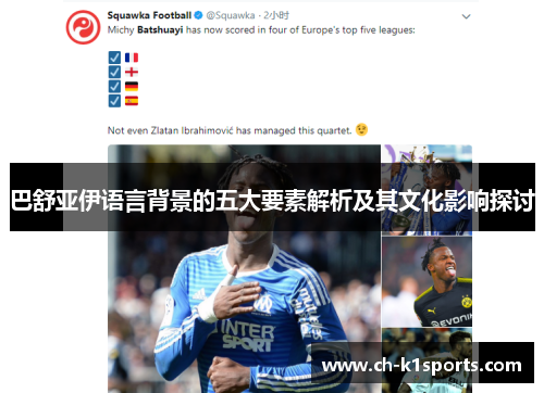 巴舒亚伊语言背景的五大要素解析及其文化影响探讨