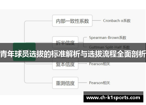 青年球员选拔的标准解析与选拔流程全面剖析